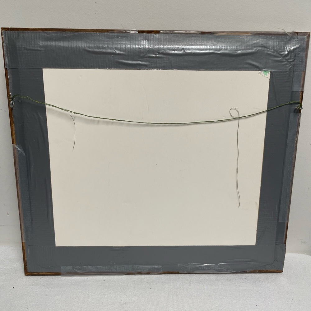 VTG Kuna Mola Folk embroidered Bird Fabric Art Framed @15x16” wooden frame - Picture 8 of 12